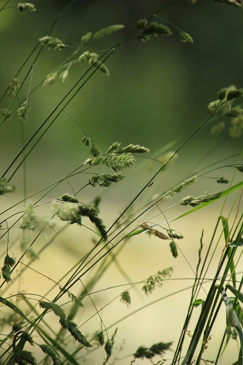 Green Bitcoin: Geld verdienen mit Kursprognosen